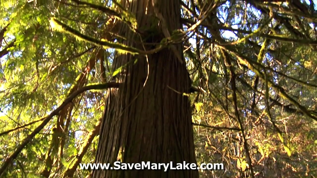 Reflections of Mary Lake - Chapter Three 'Coast Salish Stories'