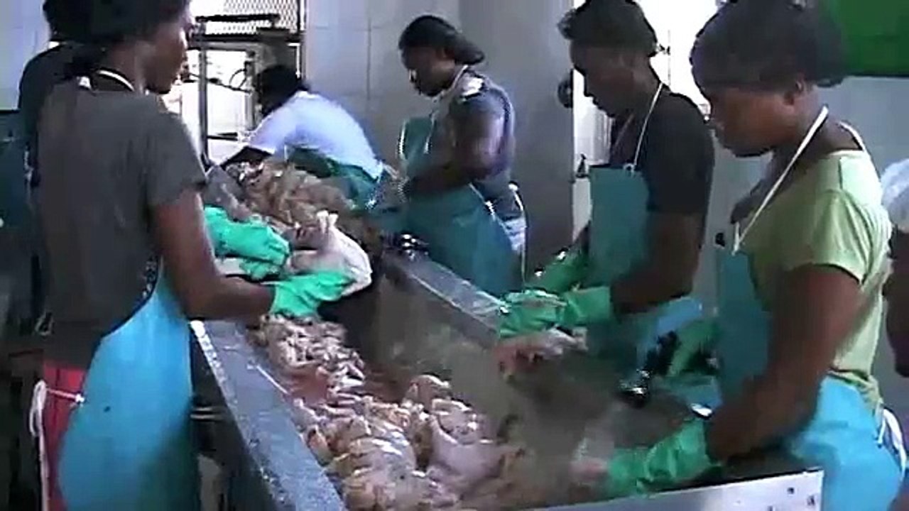 CVM TV Report on Isle Chix Farm