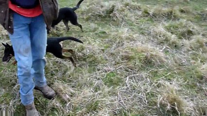 John and  20 week old kelpie Eli
