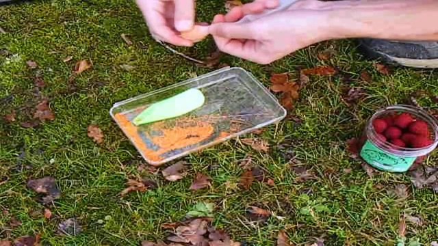 pêche à la carpe - nuit douce de décembre