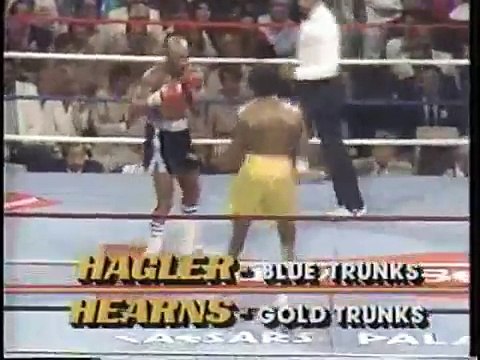 ＷＢＣ　ＷＢＡ世界ミドル級タイトルマッチ　ハーンズｖｓハグラー