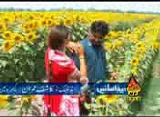 sadi yar wich fark awy.yasir imran taunsvi.03336631676