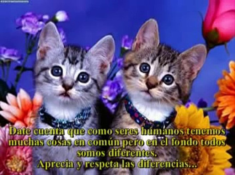 Feliz Navidad 2012 y Prospero Año Nuevo 2013