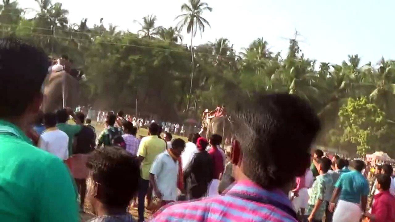 Elephant Attack at Chiravarambathukavu Pooram 2015