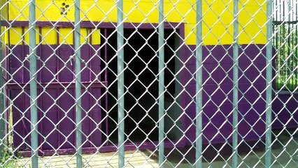 UPDATE (8) July 13, 2011: LSU Trademark Violation on Sandlin: painting Tony's cage, Purple & Gold