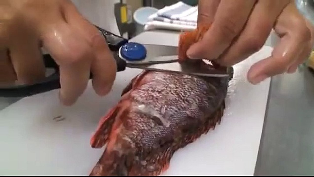 かんたん！カサゴの捌き方