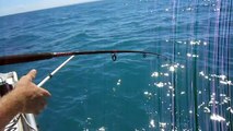 White Pointer Shark vs Chris Snapper Fisherman. Cowell Fishing Adventures in SA