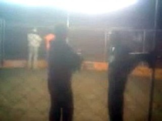 PELEA DE GALLOS - COLISEO EL GUAYABO DE ICA