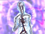 Vasculitis - video de vasculitis - Inflamación de vasos sanguíneos