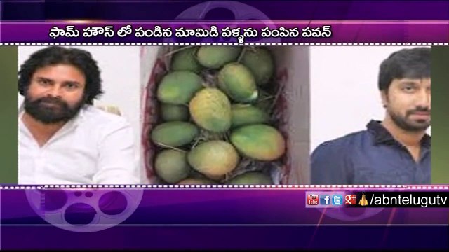 Pawan kalyan Sends mangoes to Direcot Bobby (05 - 06 - 2015)