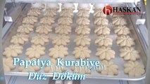 Haskan Kuru pasta Makinesi - Papatya (Düz mod )  kurabiye Dökerken