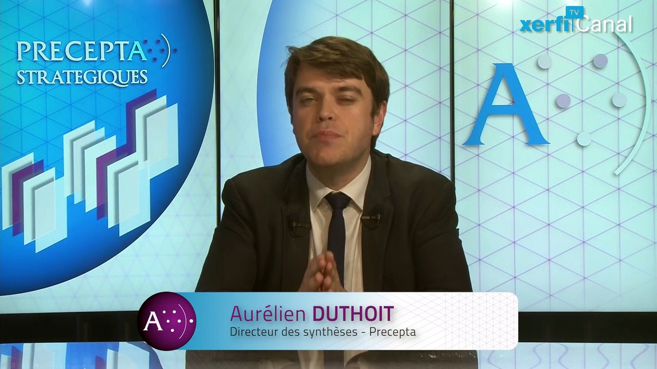Aurélien Duthoit, Xerfi Canal L’économie du partage