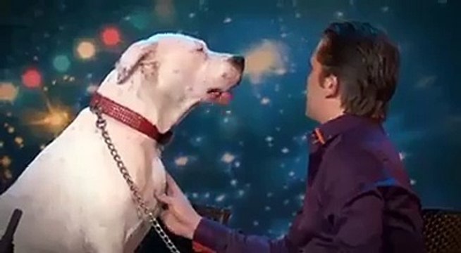 XFactor - Pies śpiewający piosenkę Whitney Houston - I Will Always Love You