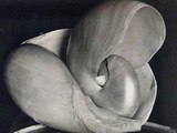 Edward Weston: A Precursor | Andreas Scholl, Delerium