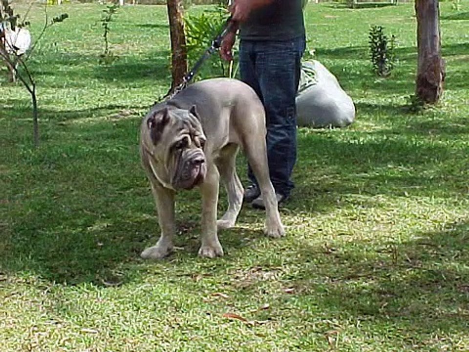 Homenagem ao Toro