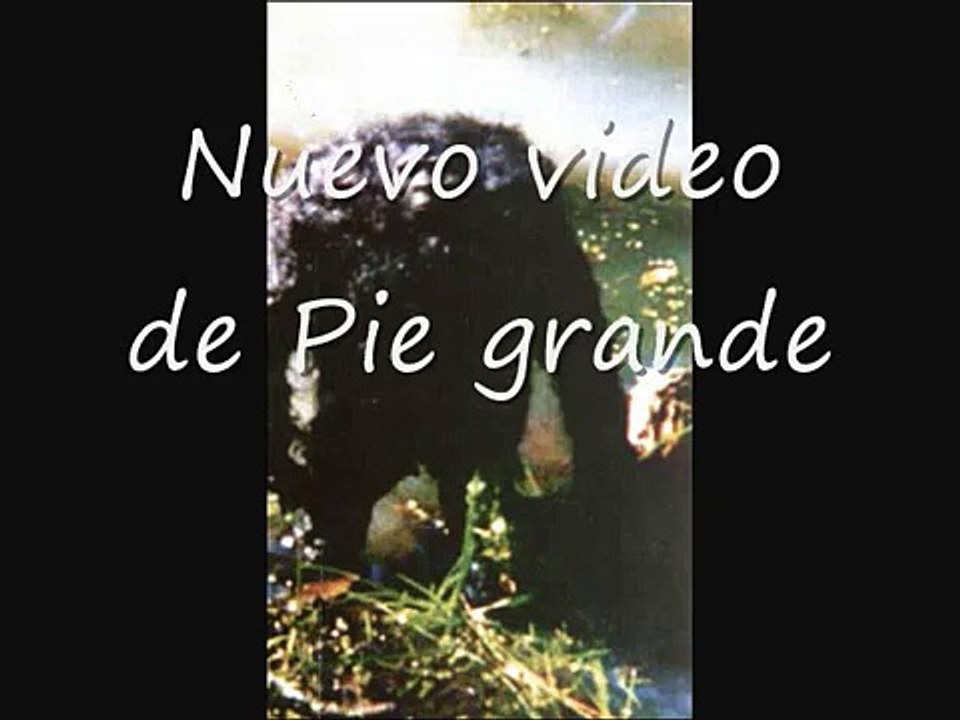 PIE GRANDE