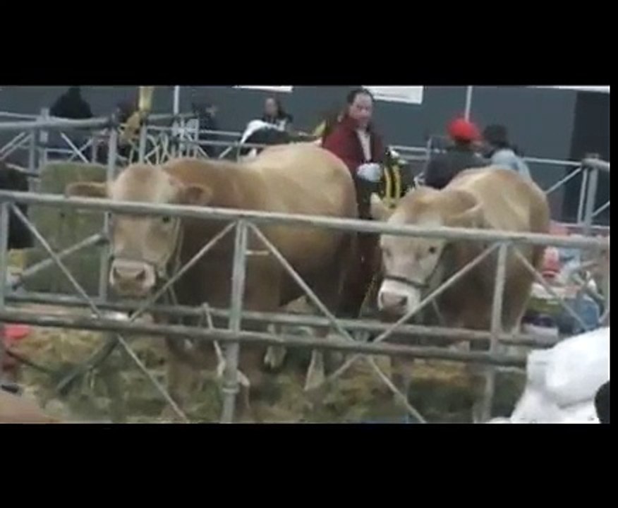 Exposicion Rural numero 123 º 2009 Palermo Buenos Aires Argentina !!! Expo del Campo !!! 4/4