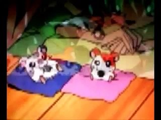 abertura hamtaro com video