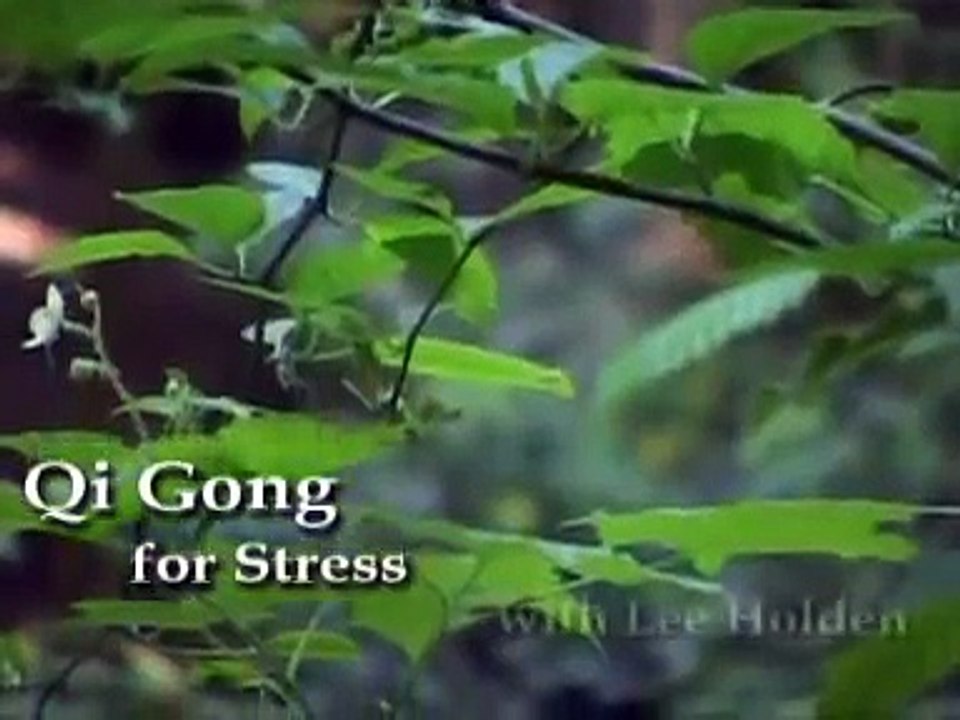 Qi Gong for Stress with Lee Holden