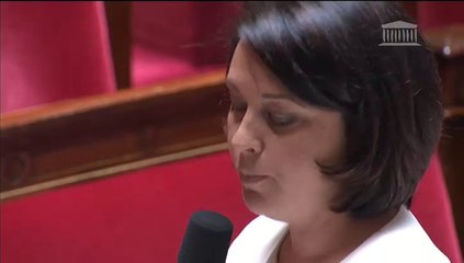 Opération d'intérêt national sur le Parc Georges Valbon en Seine-Saint-Denis : réponse de S. Pinel