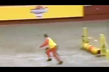 The fastest dog in the Universe!