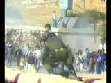جندي اسرائيلي يضرب على ايدي شبل فلسطيني