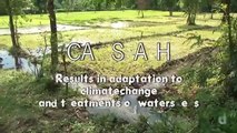 CASAH: Results in adaptation to climate change and treatments of watersheds