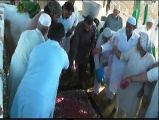 dalii sir sooba shah