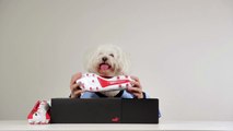 Unboxing: PUMA evoSPEED Tricks Agüero