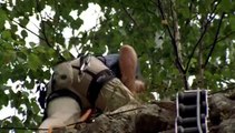 Wrong Turn 2 Dead End Dailymotion Video
