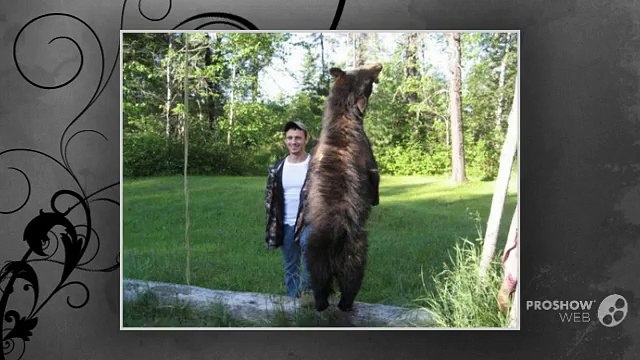 Black Bear Hunting Trips | Bear Hunting Outfitters