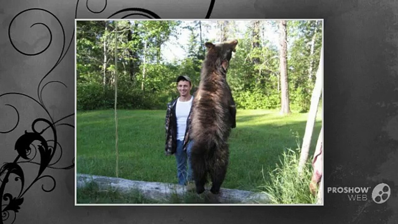 Black Bear Hunting Trips | Bear Hunting Outfitters