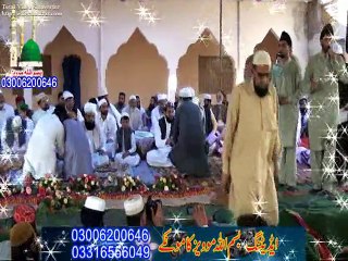 Hazor mare to sare by Abbasbaradran of satiana fsd pk 03036226456/03418779622/03007250979