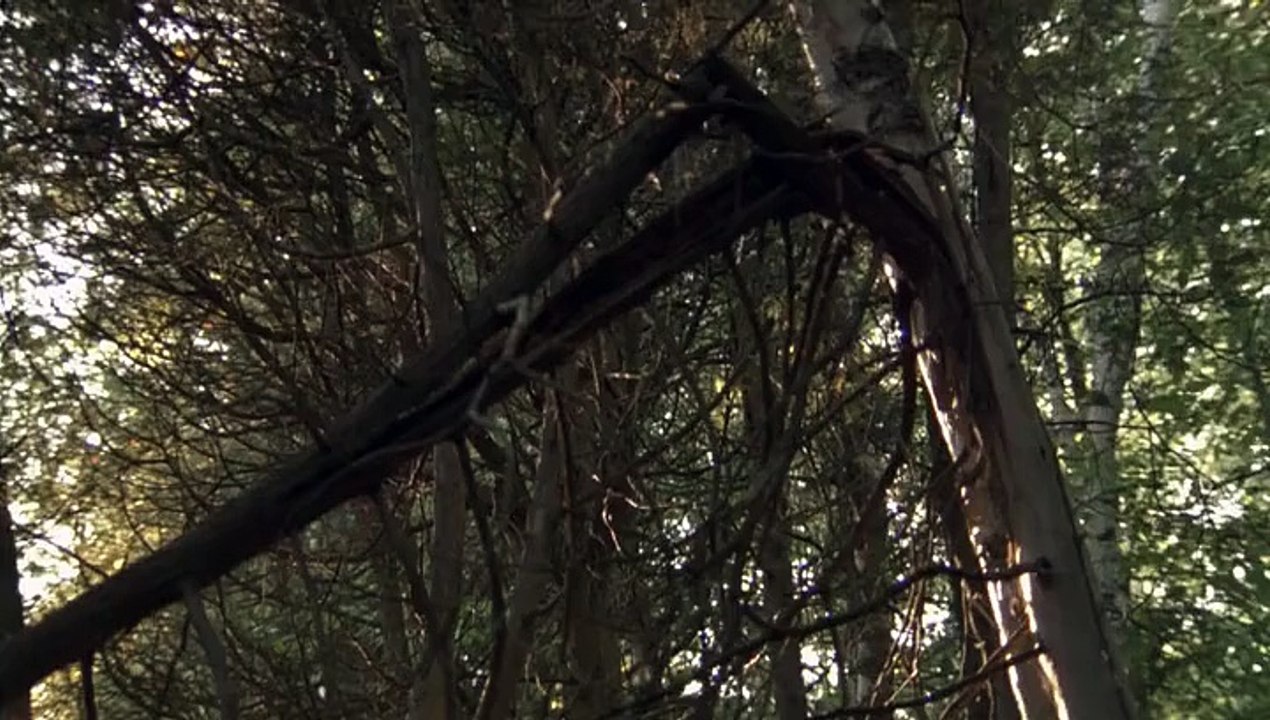 wrong turn 1 (2003) Full Movie - part 2/2