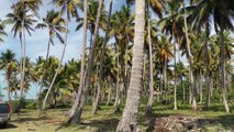 Playa Cosón - 1080/50p