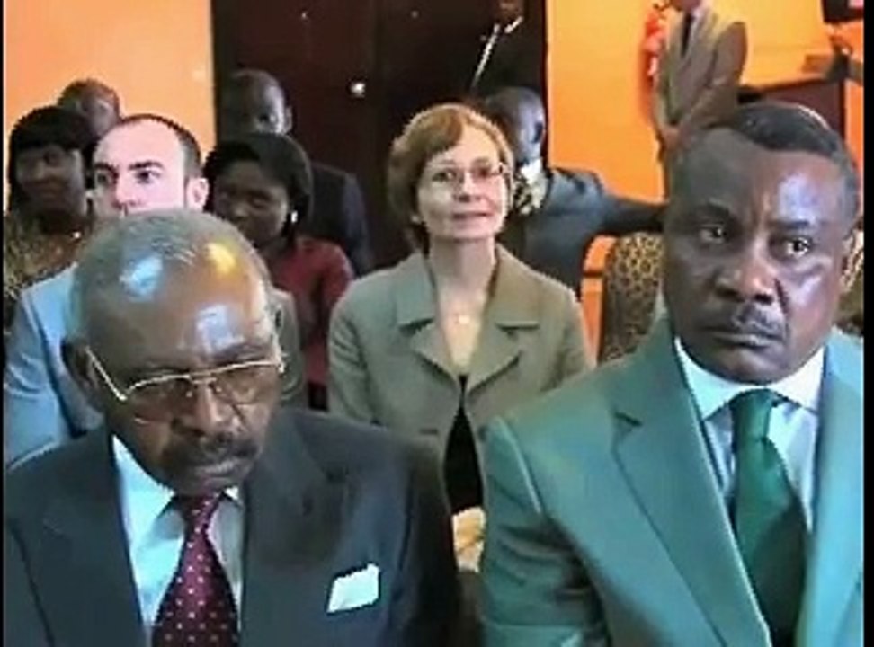 Principaux domaines d'action de Mme Sylvia Bongo Ondimba