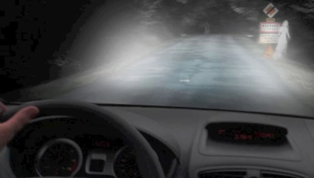 Oise : des dames blanches aperçues sur le Plateau picard