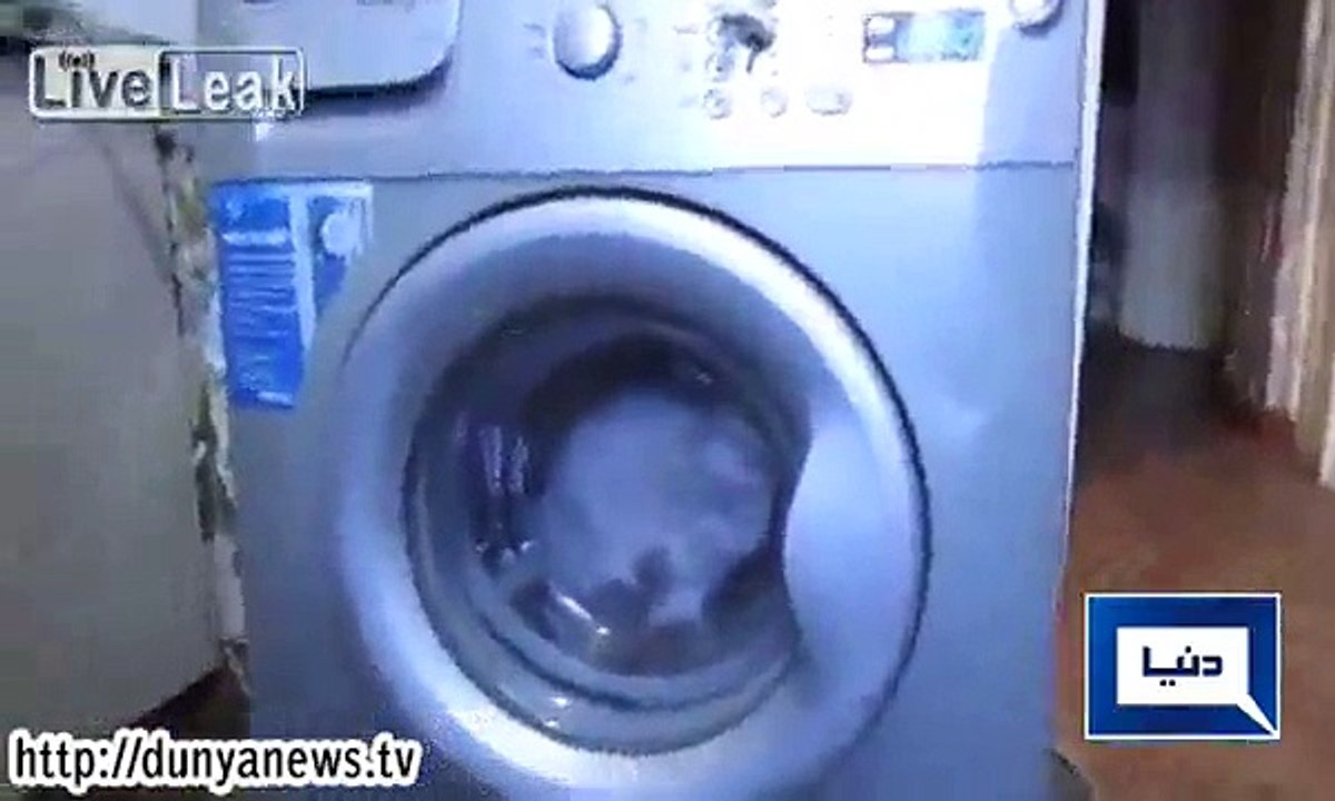 Cat Caught In Laundery