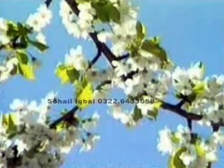 kisy mai da v aina sohna laal nai by hafiz ahmad raza