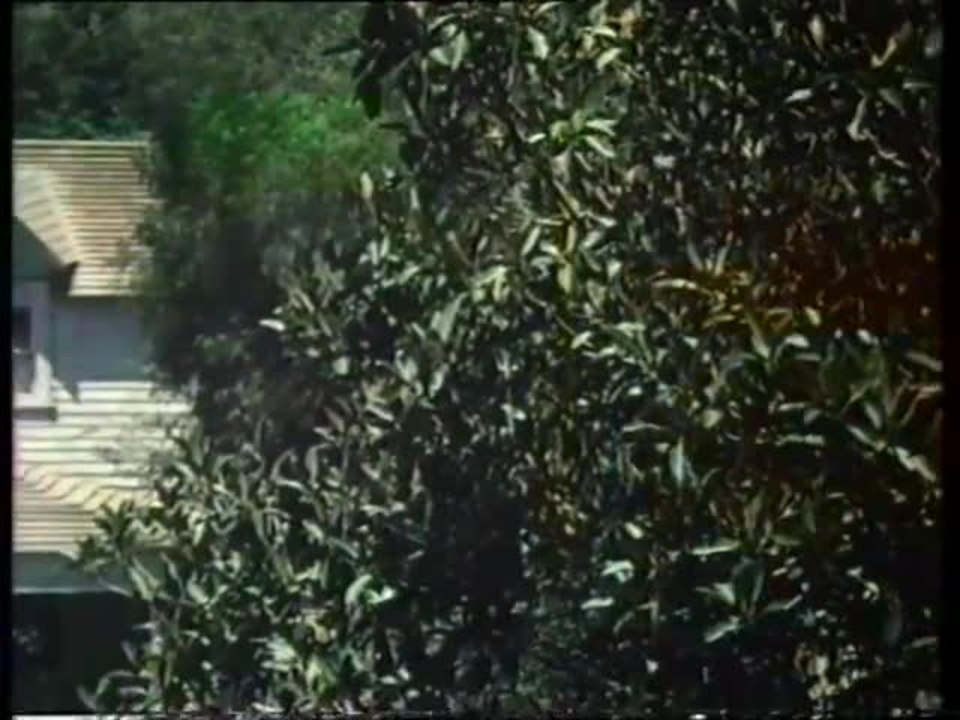 Die waltons - intro (deutsch)