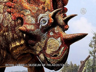 Знакомьтесь, регалицератопс - новый вид динозавра