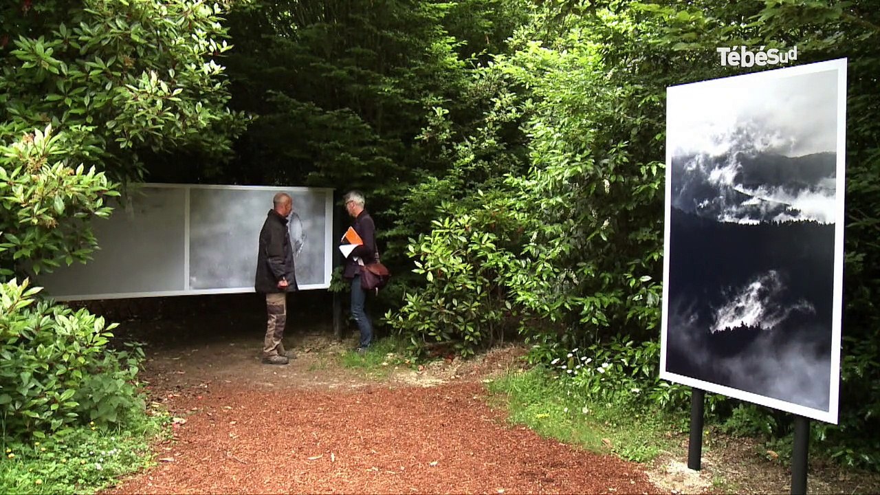 La Gacilly (56). Le festival de photos nourrit la curiosité