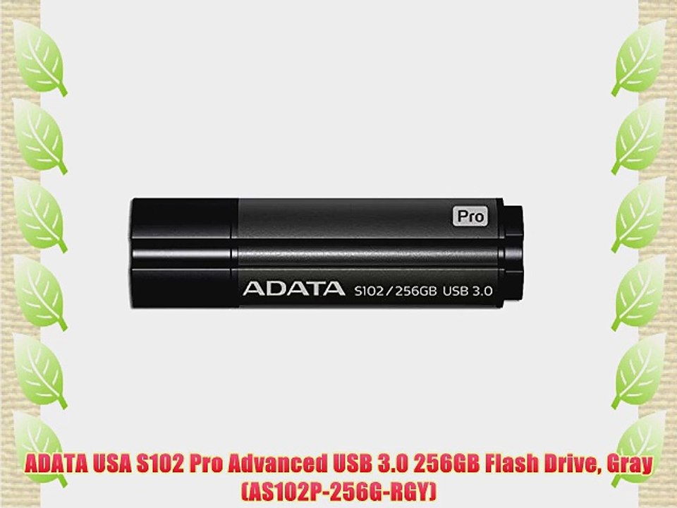ADATA USA S102 Pro Advanced USB 3.0 256GB Flash Drive Gray (AS102P-256G-RGY)