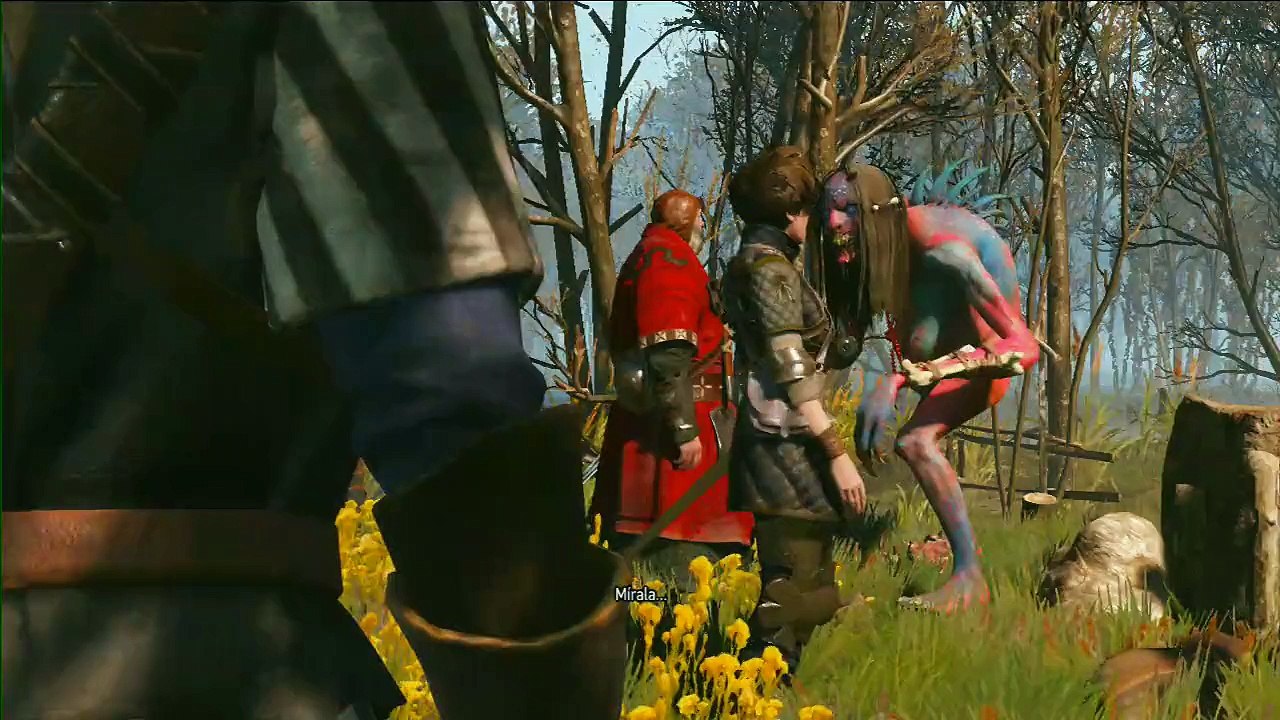 The witcher Wild hunt, parte 35, La Demonibestia.