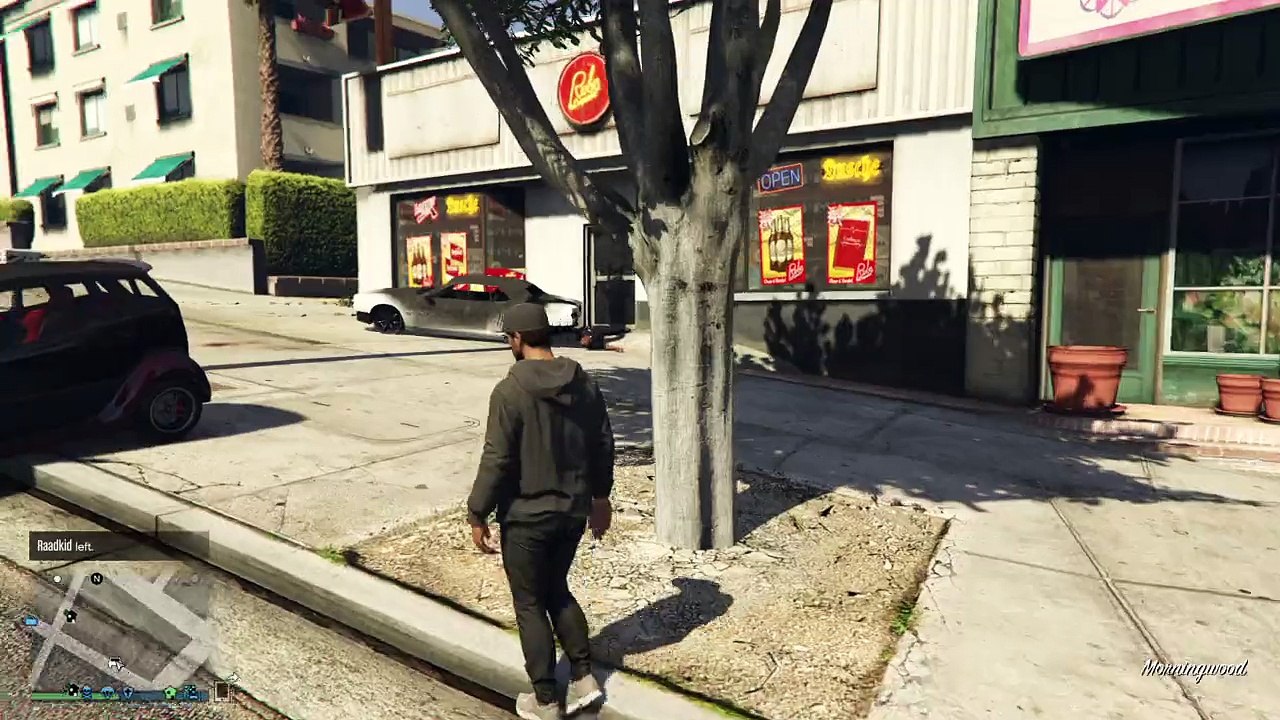 Grand Theft Auto V - Wanted Level