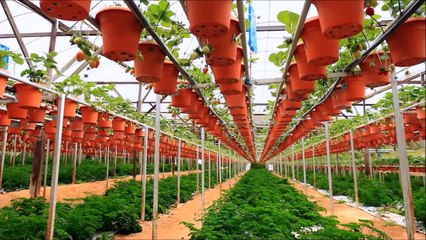 lange versie landbouwsystemen geogenie