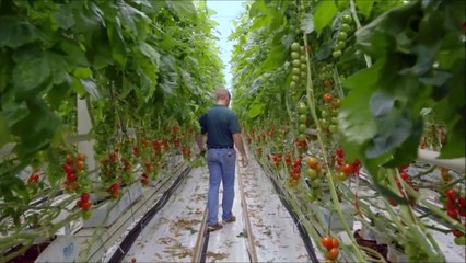 korte versie landbouwsystemen zenit