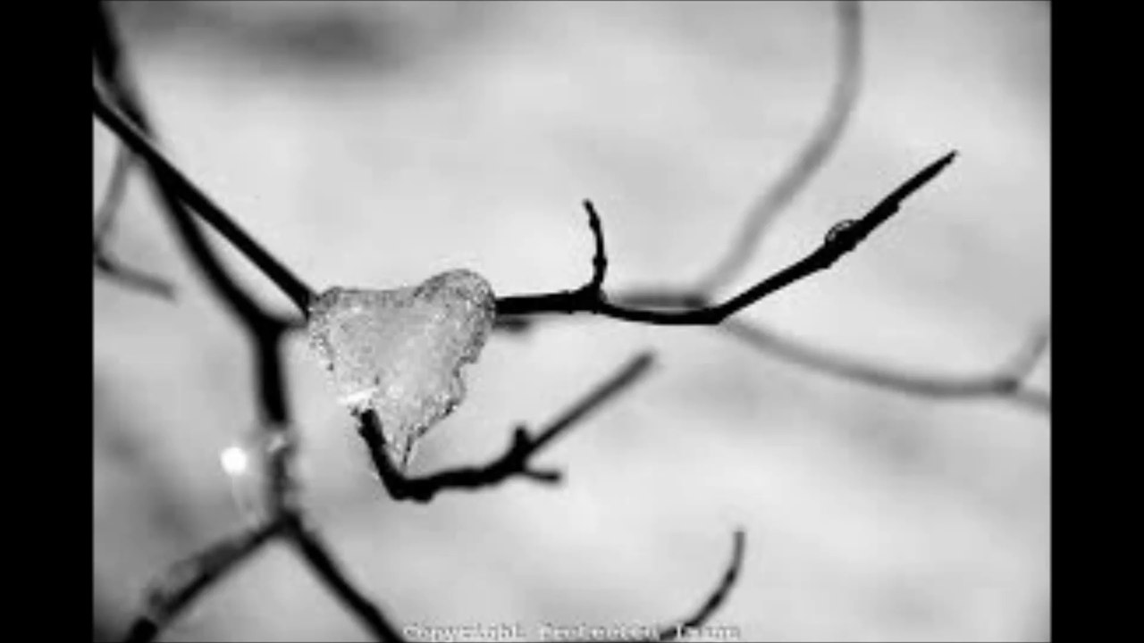 My Dying Bride -  In Your Dark Pavilion