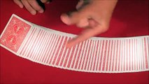 Mathematical Card Trick!