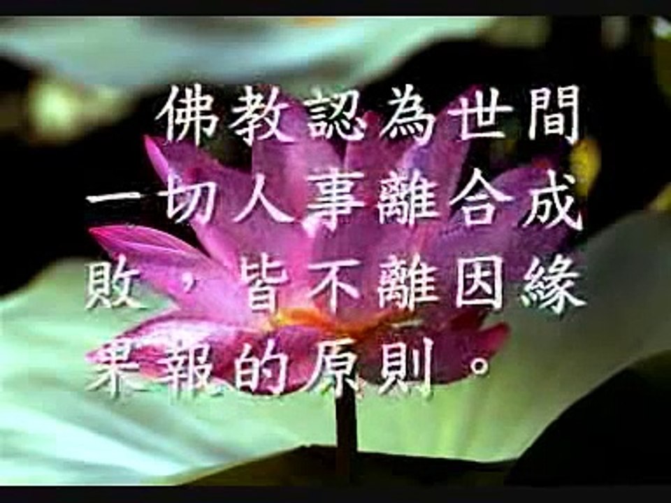 對命運的看法　（觀成法師之廣結善緣2404）
